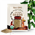 10 Organic Crystal Apple cucumber seeds - Grown/Harvested in USA !! Unique ! Specialty ! Crisp !