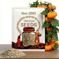 Giant Cinderella Pumpkin Seeds, Heirloom, Organic, Non GMO, 10+