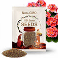 Packet Geranium Seeds -Fresh Harvest - Non GMO - Fragrant - 100 Seeds