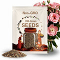Oasis Rose Begonia Seeds 45 or 125 Seeds Flower, Flower Seeds, Non GMO