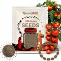 Pixie Striped Micro Dwarf Tomato Seeds: Sweet Red Cherry