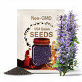 Sacred Purple Krishna Tulsi Seeds Organic, Non-GMO