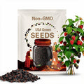 Black Raspberry Seeds (Rubus occidentalis): Native Wild Berry, Pollinator-Friendly, USDA Zones 3–8