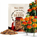Zinderella Zest Zinnia Seeds,  Zinnia Elegans ZE2810