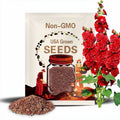 Red Double O Hara Hollyhock Seeds - Showy Blooms - Tall Flower Spikes - Attracts Pollinators - Drought Tolerant - Plant in Spring/Fall #8091