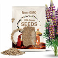 Manhattan Lights Lupinus (Lupine) Seeds- Lupinus - bluebonnet - Authentic - Heirloom - Flower Seeds - Mix Seeds to Plant -B5G1 #8106