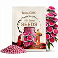 Pink Moon Aster Seeds, Hi-No-Maru Aster Callistephus Chinensis CU8640