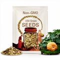 Mammoth Gold Pumpkin Seeds: Organic Heirloom, Non-GMO