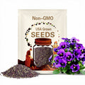 Purple Violet Pansy Seeds - Cold Resistant - Open-Pollinating - Self-Pollinating - Draft Resistant - Plant in late Summer/Spring#201