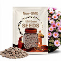 50 Lithops Seeds: Rare Living Stones Succulent Mix - Indoor Garden