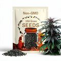 Black Beauty Zucchini Seeds | Heirloom | Organic