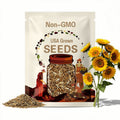 Teddy Bear Double Sunflower Seeds， Helianthus Annuum， Fresh 40+ Count， Easy to Grow，, Heavy Blooming， Jumbo Double Blooms