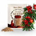Coral Tree Seeds: Erythrina Crista Galli, Exotic Red Blooms (5 Seeds)