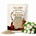 100+ White Strawberry Seeds: Pineberry Hula berry Alpine Garden