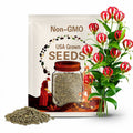 Gloriosa Lily Seeds, Gloriosa Superba GS0110R