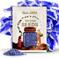 Coleus Blue Rare 20 Flower Seeds Fun  and easy to grow seeds for planting home garden seeds Plus free gift  Limited Supply Order Now!